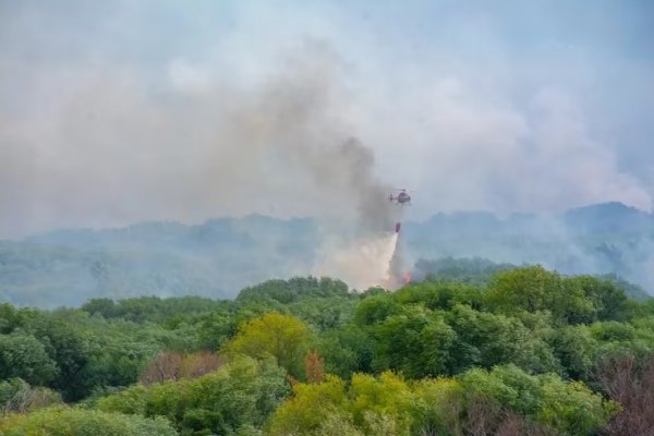 La Resistencia Ancestral Mapuche se adjudicó un incendio que arrasó con una vivienda