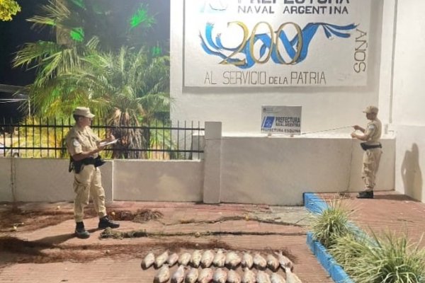 Prefectura secuestró en Corrientes casi 50 kilos de sábalos y mallones
