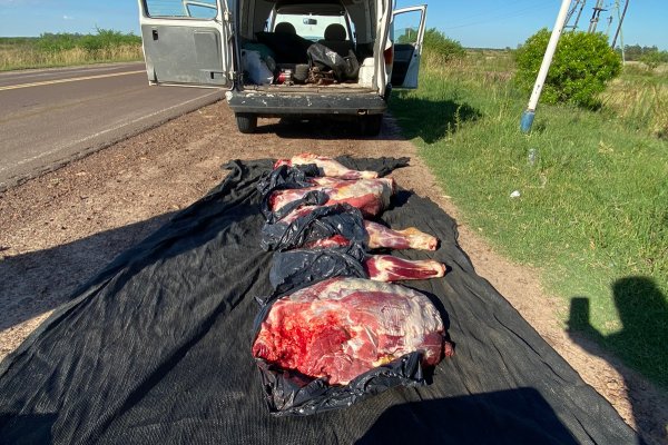 Detuvieron a tres hombres y secuestraron animales silvestres faenados