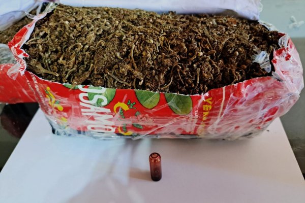 Descubren marihuana escondida en paquetes de yerba y harina
