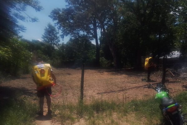 Corrientes: aplican multas por quemas no autorizadas de pastizales en plena sequía