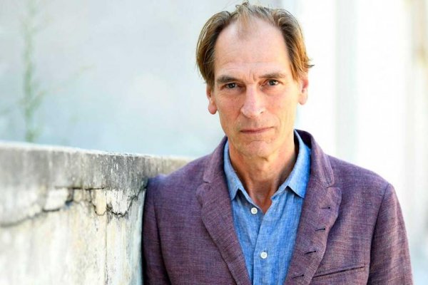 Hollywood: declararon desaparecido al actor Julian Sands