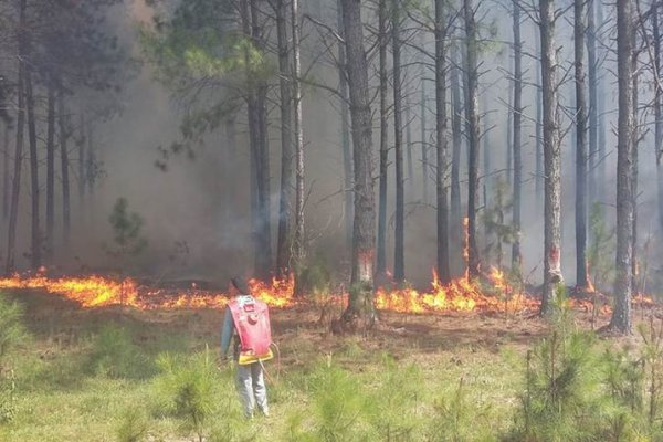 Se registraron 13 incendios en menos de 24 horas en el interior correntino