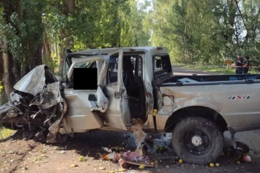 Mendoza: una mujer viajaba con su familia y murió tras chocar su camioneta contra un árbol