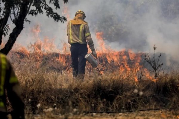 Preocupa el fuego en Corrientes: cuándo llegaría la tan esperada lluvia