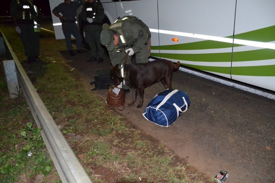 Detuvieron en Corrientes a un coordinador de viaje que llevaba 15 kilos de marihuana