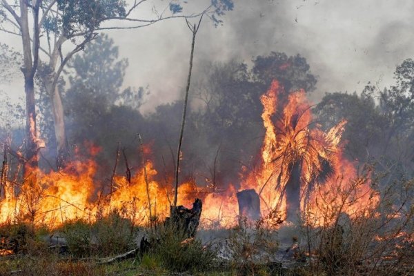 Informaron cinco focos ígneos en Corrientes