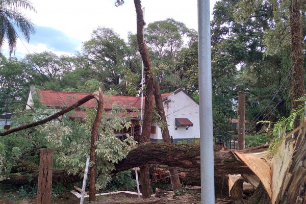 Video: Fuerte temporal causó destrozos en el interior correntino