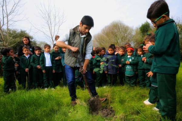 Día de la Educación Ambiental: la importancia de mantenerla presente