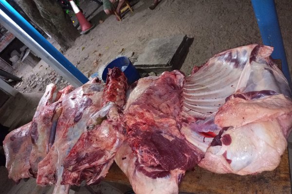 Se secuestró diversos cortes de carne de un animal vacuno faenado de dudosa procedencia