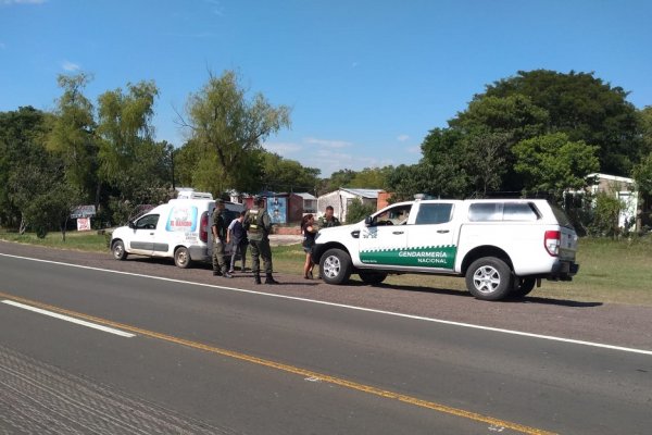 Gendarmería interceptó contrabando de surubíes en Corrientes