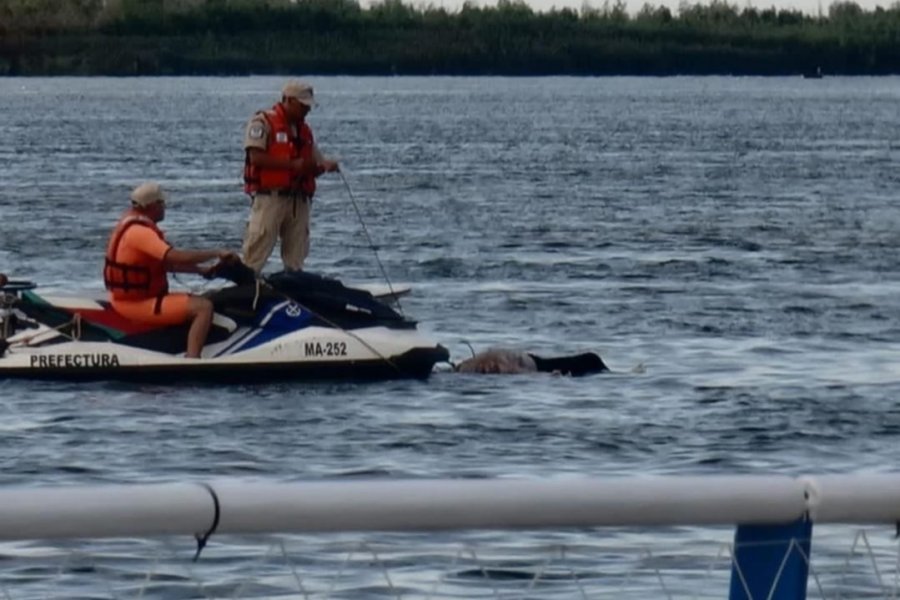 Encontraron el cuerpo del adolescente de 14 años que se ahogó en el río Paraná