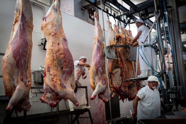 Intoxicaciones con carne: el Ministerio de Salud emitió un comunicado con recomendaciones