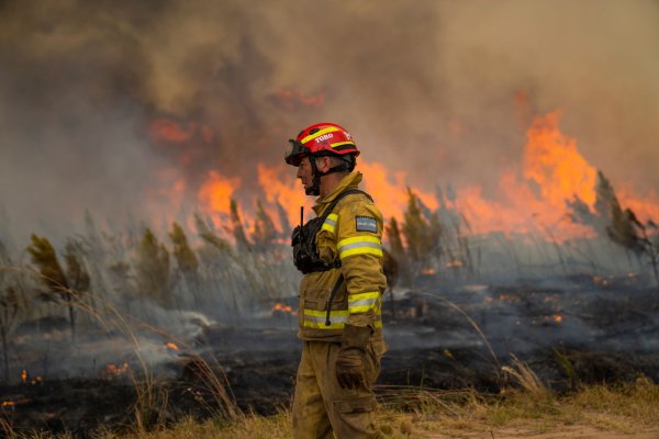 Este domingo no se registraron nuevos focos de incendios en Corrientes