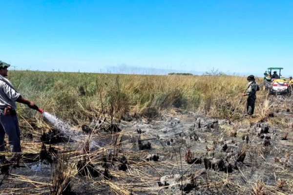 Parque Iberá: el número de hectáreas arrasadas por las llamas que alarma a Corrientes