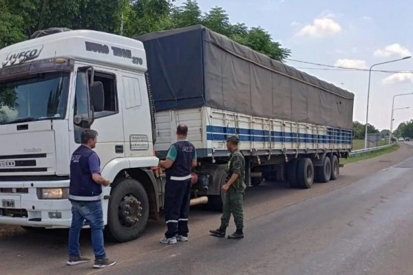 Incautaron cinco camiones con cargamentos de soja y maíz en Corrientes, Chaco y Formosa