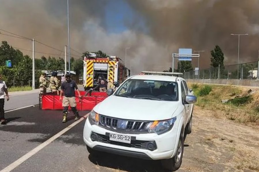 Chile declaró el estado de alerta por una ola de incendios forestales que afecta al centro del país