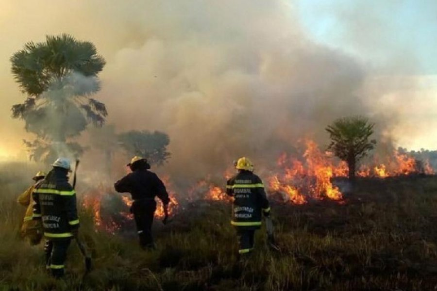 Alerta en Corrientes: se registran catorce focos de incendios activos