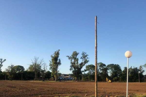 Corrientes: quejas por una obra de $80 millones y podas en un pulmón verde municipal