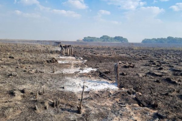 Incendios en Corrientes: los equipos están sin dormir y se necesita más gente para contener el fuego