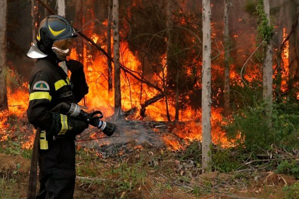Chile: temen que los incendios se extiendan hasta la región metropolitana de Santiago