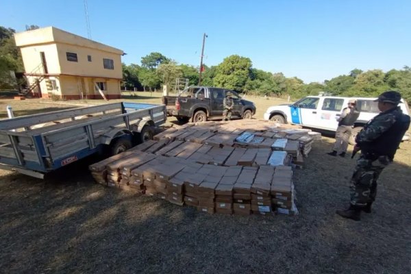 Corrientes: secuestraron 4 mil kilos de pescado de origen ilegal que iba a ingresar al país