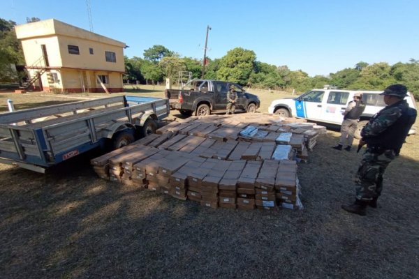 Interceptaron en Corrientes cuatro toneladas de pescado ilegal que iban a ingresar al país