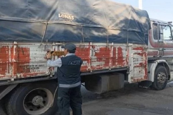 Incautaron 294 toneladas de granos valuados en una cifra millonaria en Corrientes y Chaco