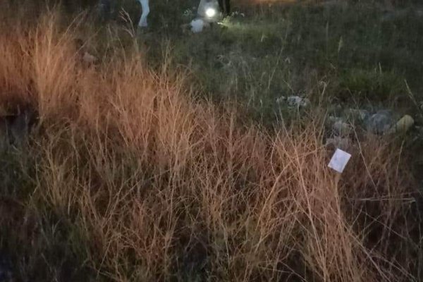 Corrientes: una mujer murió tras despiste y vuelco en Ruta 119