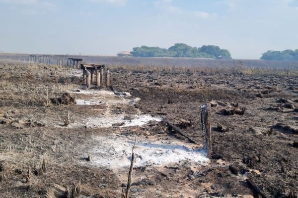 Ya se quemaron más de 5000 hectáreas en el Iberá