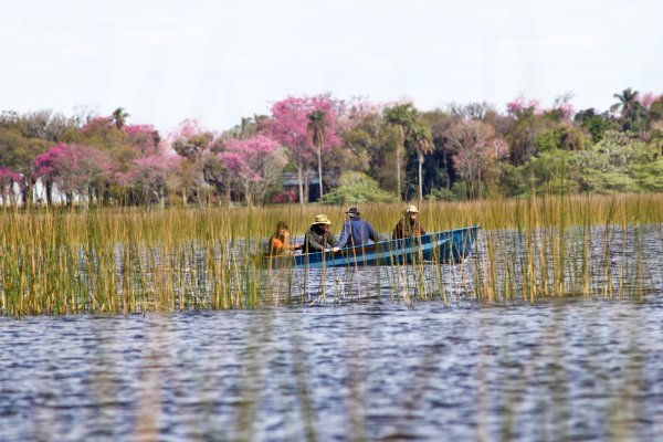 Los portales habilitados del Iberá y cuál permanece cerrado por los incendios