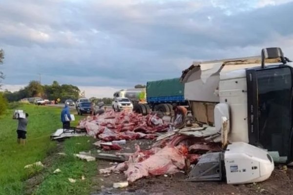 Volcó un camión frigorífico y se robaron 11 mil kilos de carne en Salta