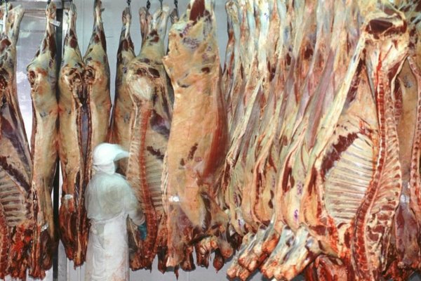 La carne encabeza los aumentos de alimentos en febrero y proyectan que la inflación del mes no bajará de 6%