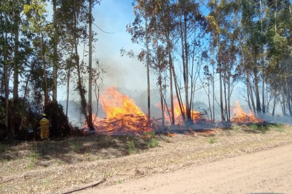 Corrientes: otro incendio rural afectó una línea de la DPEC y dejó sin luz a todo un pueblo