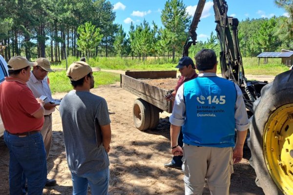 Corrientes: nuevamente detectaron más explotación laboral en forestaciones