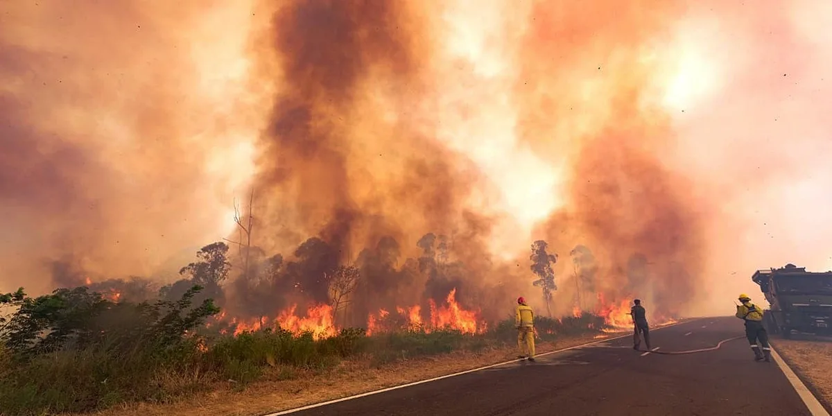 En lo que va del año ya hay 76 mil hectáreas afectadas por los incendios en Corrientes