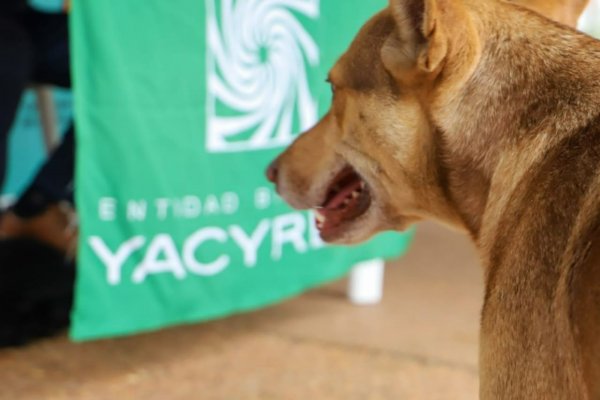 Yacyretá realizará operativos de protenencia responsable