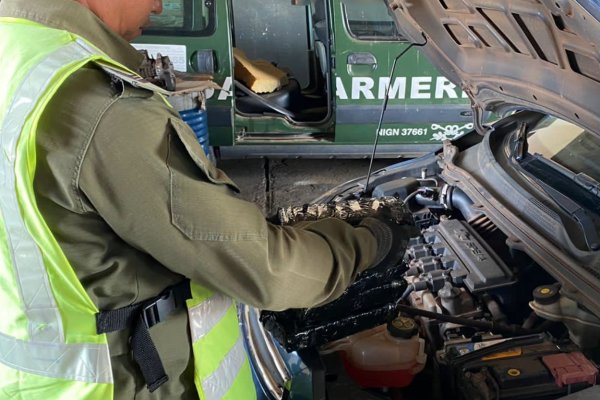 Corrientes: Ocultaba en su automóvil más de 54 kilos de marihuana