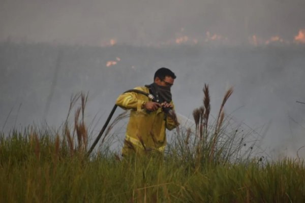El INTA informó que Corrientes atraviesa el verano con menor superficie bajo fuego