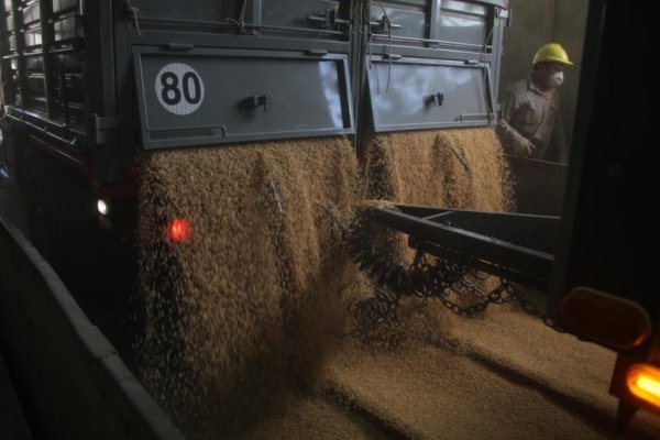 Secuestraron más de 400 toneladas de soja en Corrientes