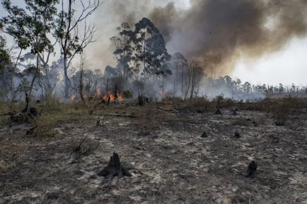 Confirmaron que no se registran focos de incendios activos en Corrientes
