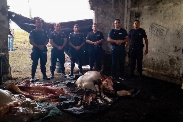 Sorprendieron a tres personas en plena faena de dos vacunos denunciados como sustraídos