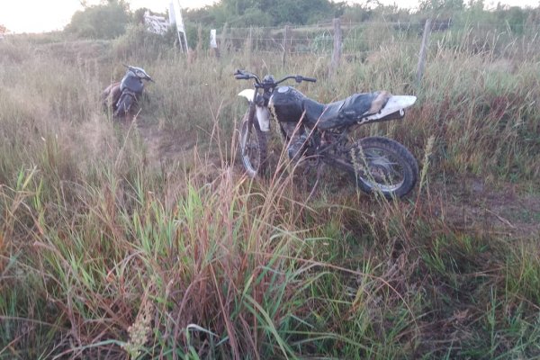 La policía secuestro dos motocicletas y animales silvestres eviscerados