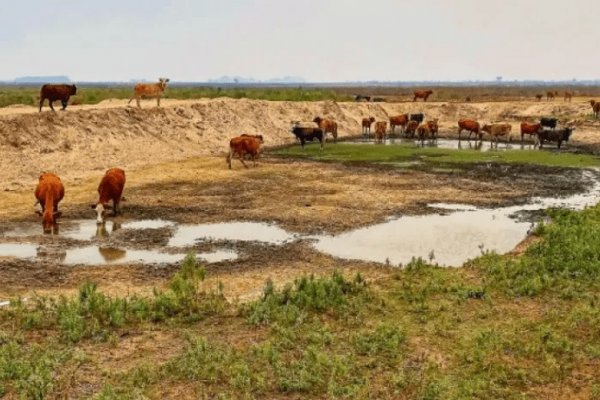 La AFIP asistirá a productores de Corrientes y otras provincias