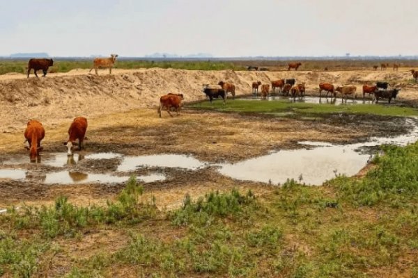 La AFIP asistirá a productores de Corrientes y otras provincias