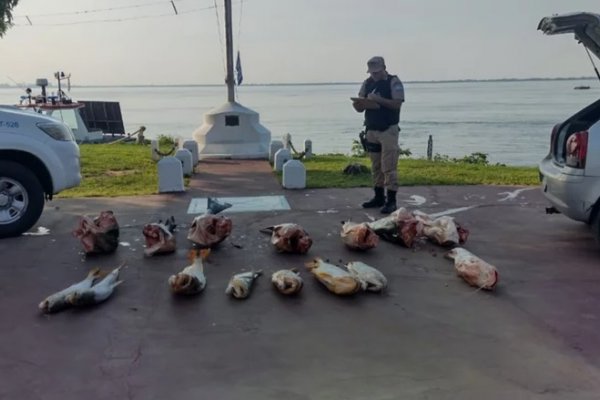 Secuestraron 199 kilos de pescados en Corrientes