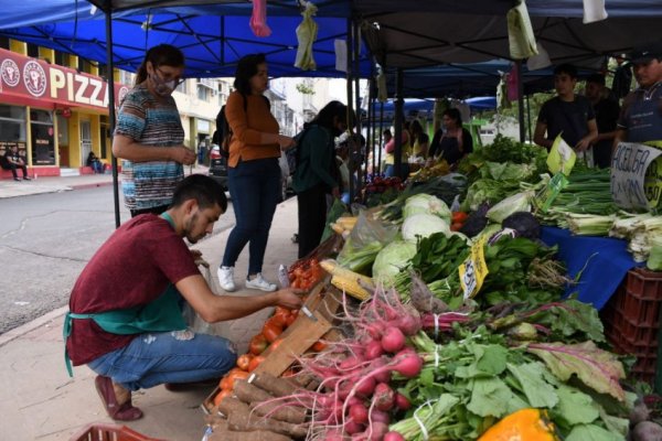 Las Ferias de la Ciudad recorrerán más de ocho barrios durante toda la semana