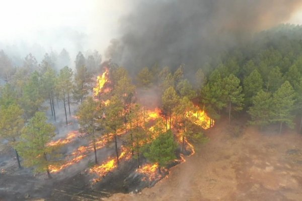 Situación ígnea: 17 focos de incendios activos en Corrientes