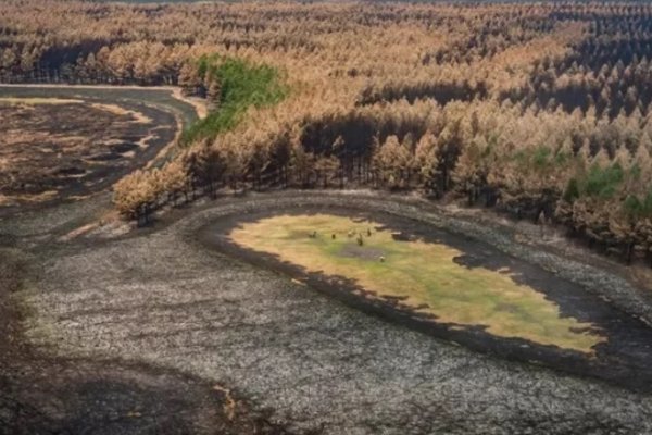 La Niña llegó a su fin, pero los efectos de la sequía continuarán