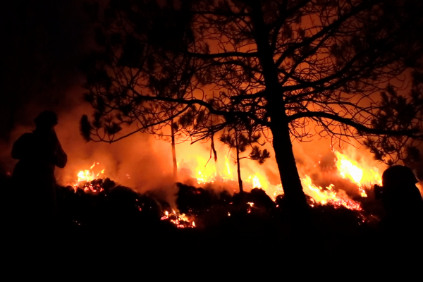 Aseguran que el incendio en Ituzaingó es el de mayor magnitud hasta el momento